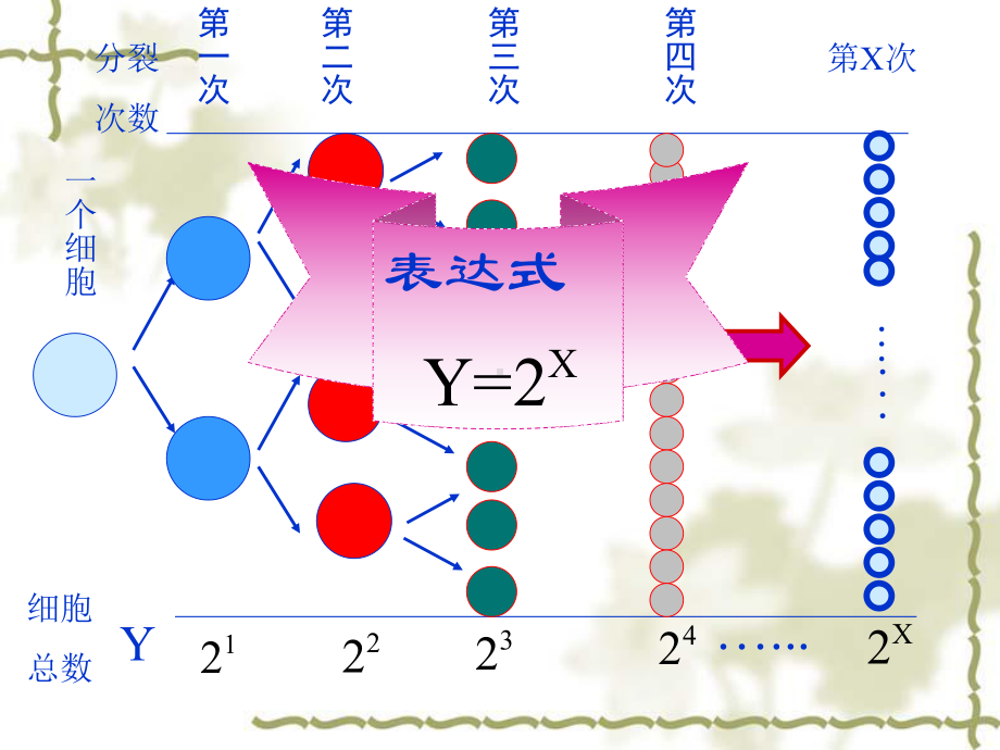 指数函数图像及其性质讲解课件.ppt_第3页