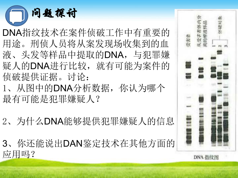 核酸是遗传信息的携带者(共17张)课件.pptx_第2页