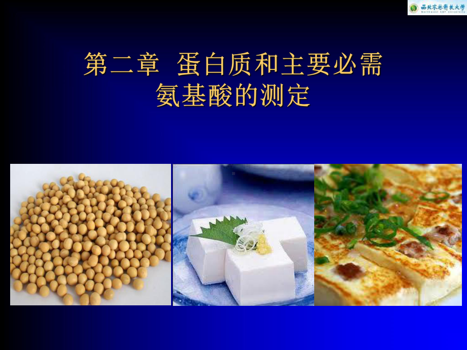 新编第2章蛋白质和主要必需氨基酸的测定课件.ppt_第1页