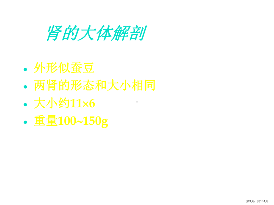 泌尿系统概述课件2.ppt_第3页