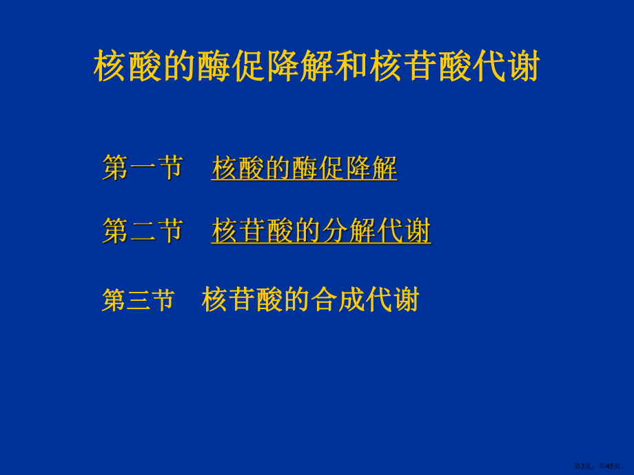 核酸的降解和核甘酸代谢课件.ppt_第3页