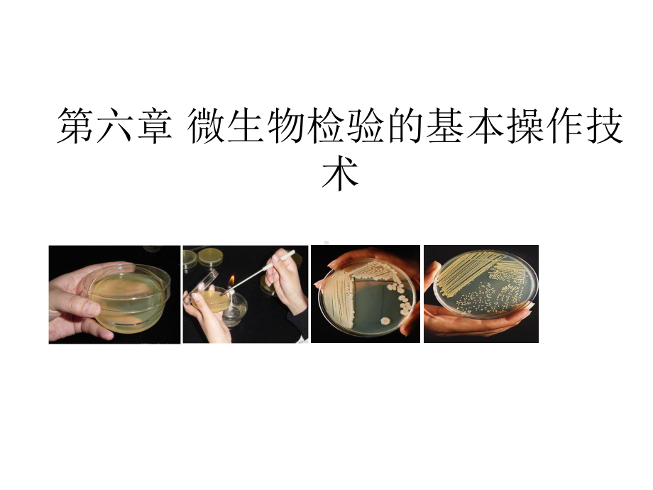 微生物检验的基本操作技术课件.ppt_第1页