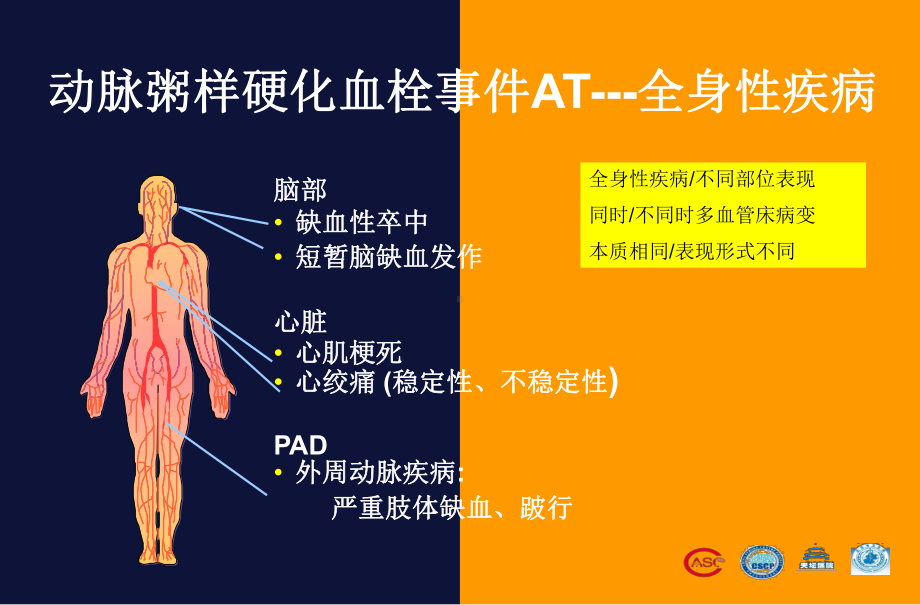 抗血小板治疗进展课件.ppt_第2页