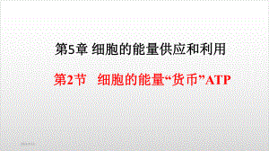 新教材《细胞的能量“货币”ATP》PPT实用课件人教版1.pptx