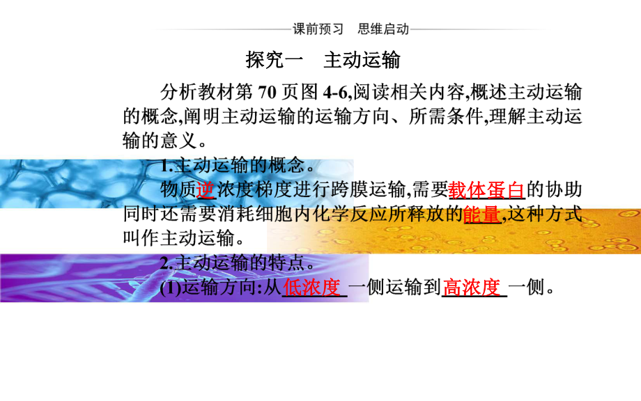 新教材《主动运输与胞吞、胞吐》优质课件人教版1.pptx_第3页