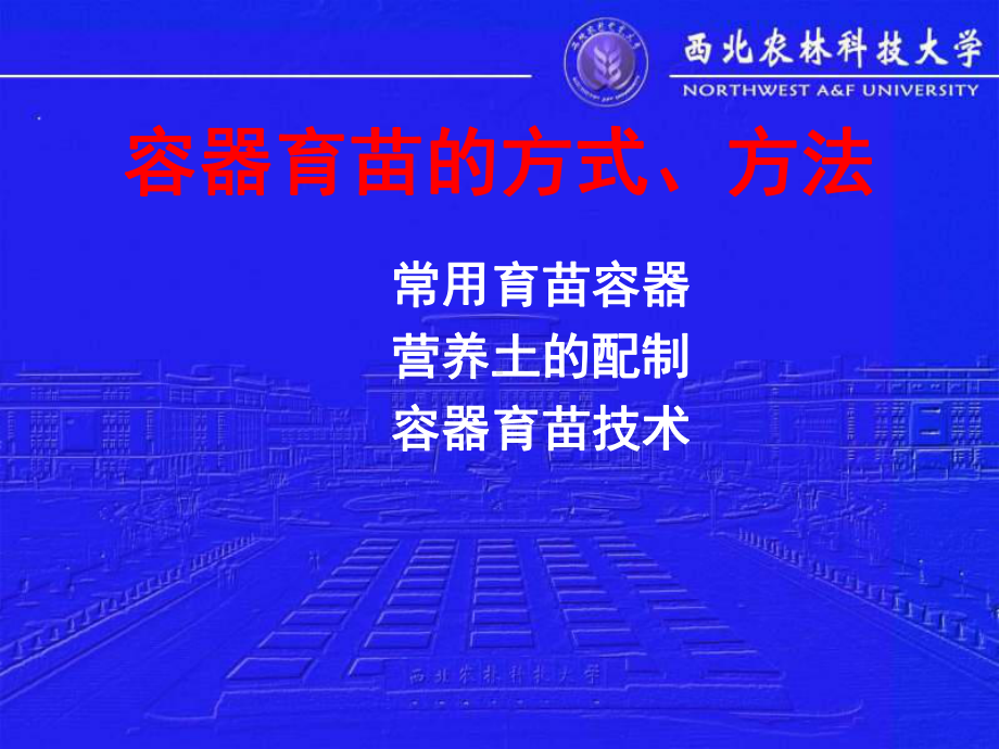 容器育苗的方式方法课件.ppt_第1页