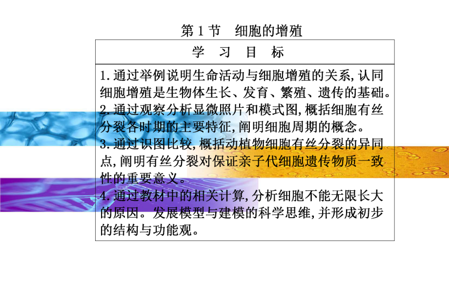 新教材《细胞的增殖》PPT教学课件人教版1.pptx_第2页