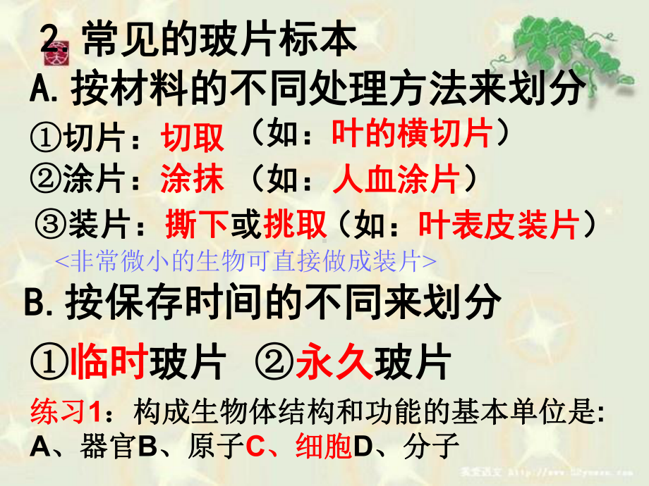 植物细胞课件正式版.ppt_第2页