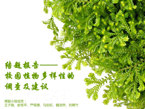 校园植物多样性的调查及建议课件.ppt