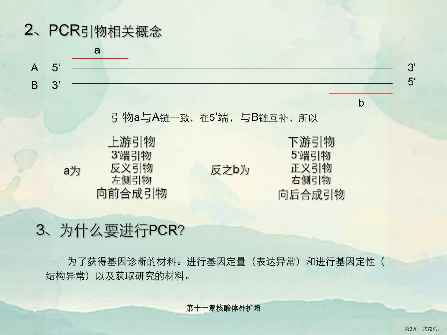 核酸体外扩增课件.ppt_第3页