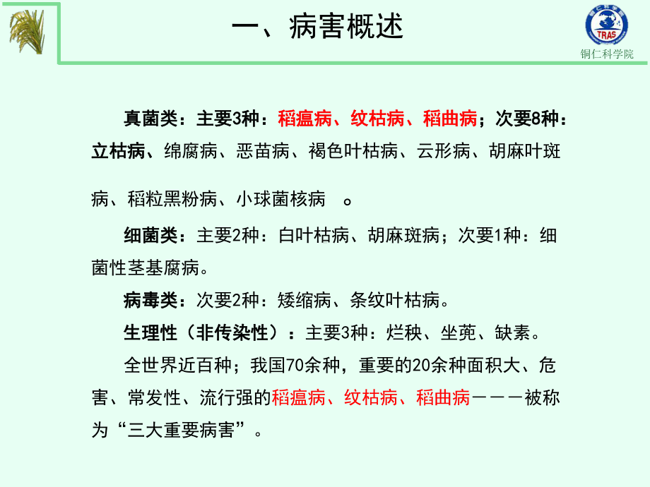 水稻病虫害发生规律与防控课件.ppt_第3页