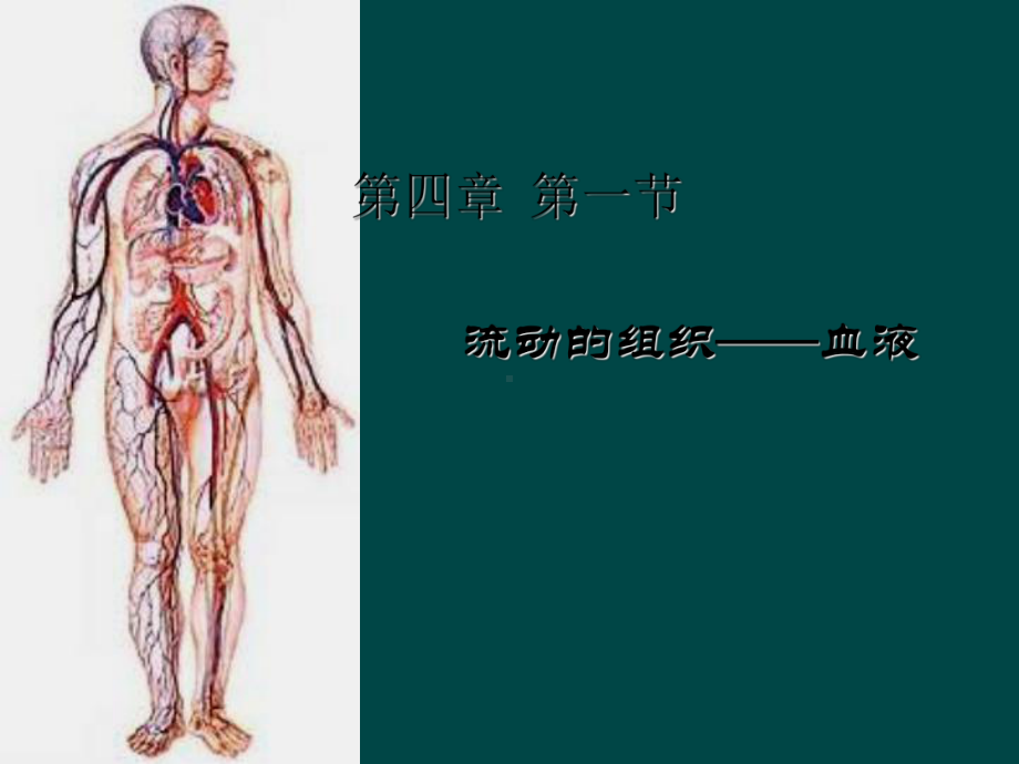 流动的组织-血液PPT课件11-人教版.ppt_第2页