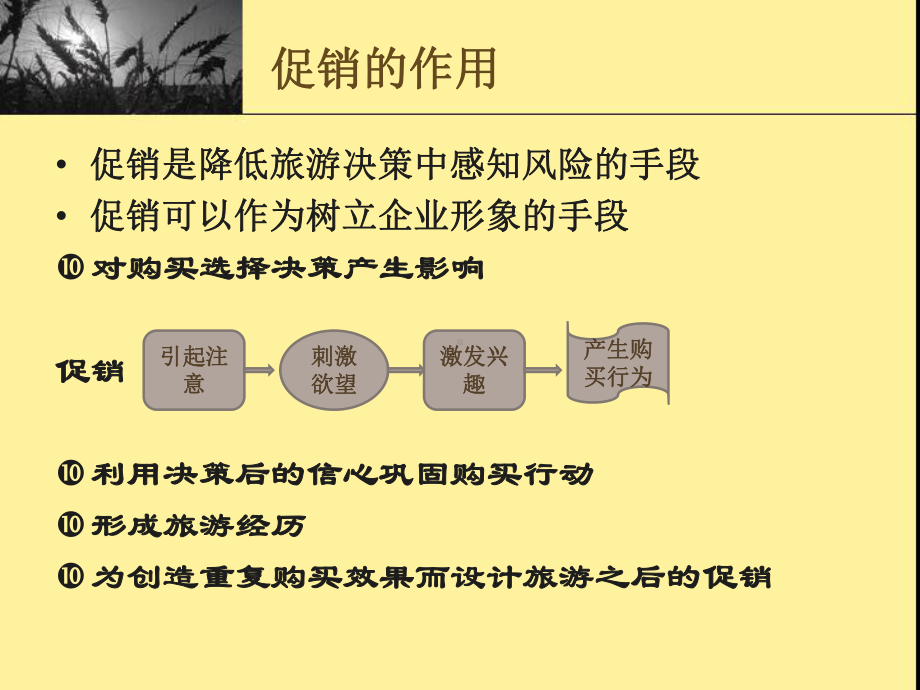 旅行社的促销管理(76张)课件.ppt_第2页