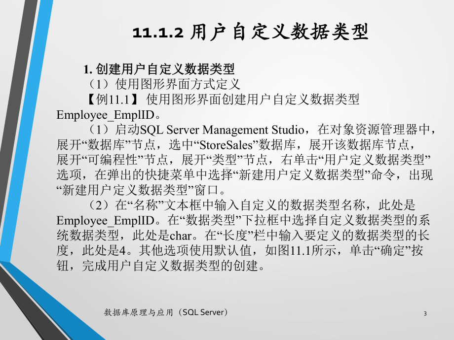 数据库原理与应用(SQLServer)第11章数据库程序设计课件.pptx_第3页