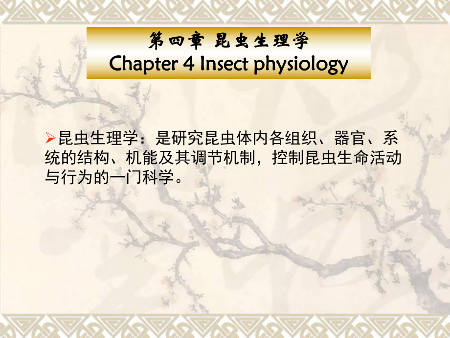 普通昆虫学5第四章生理学12体壁课件.ppt_第1页