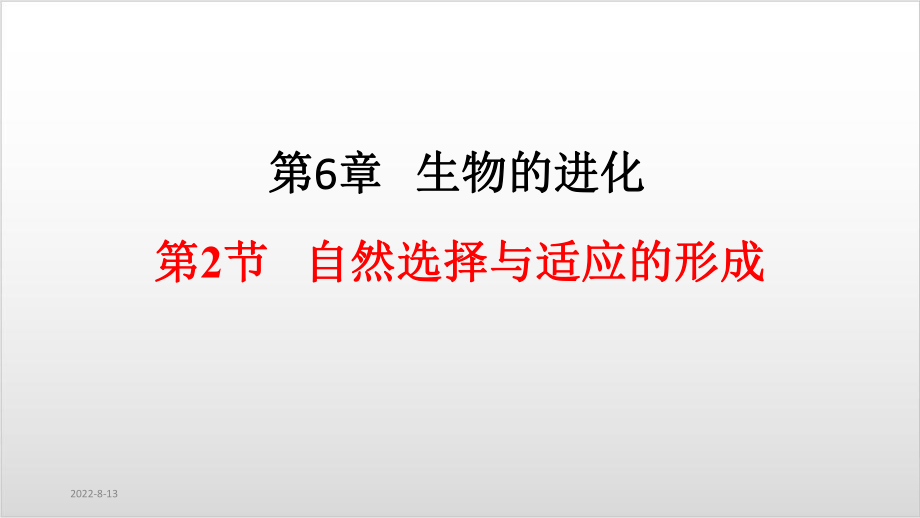 新教材《自然选择与适应的形成》人教版1课件.pptx_第2页