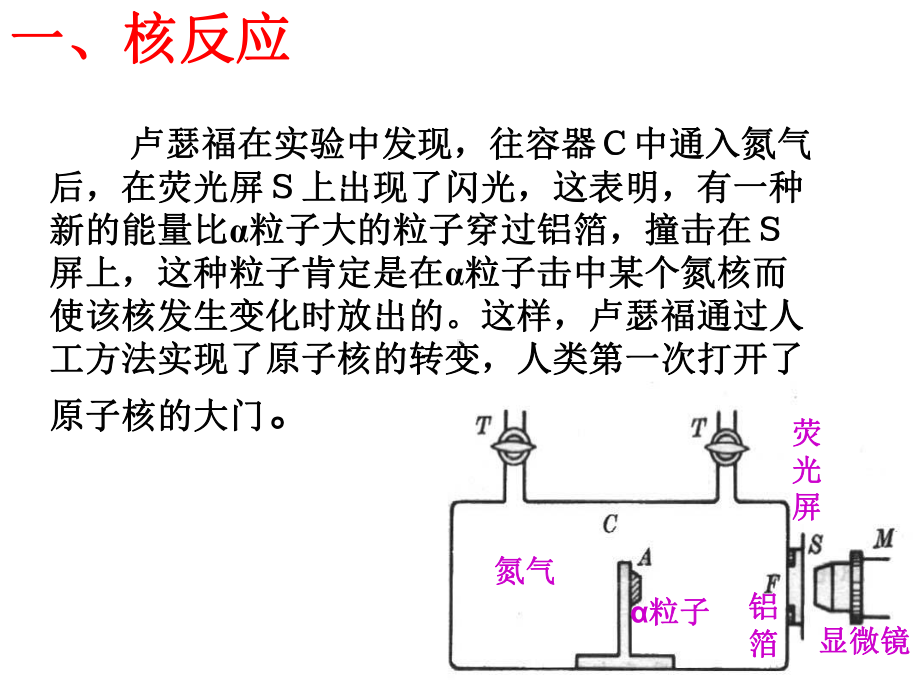 放射性的应用与防护上课用课件.ppt_第3页