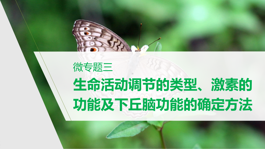 高二上学期生物人教版必修3-第2章 微专题三　生命活动调节的类型、激素的功能及下丘脑功能的确定方法 课件.pptx_第1页