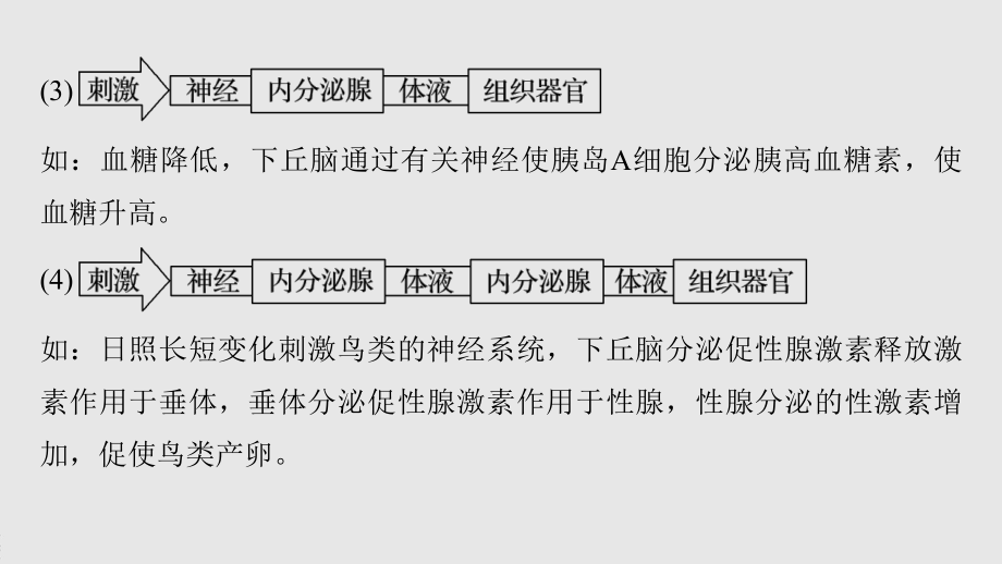 高二上学期生物人教版必修3-第2章 微专题三　生命活动调节的类型、激素的功能及下丘脑功能的确定方法 课件.pptx_第3页