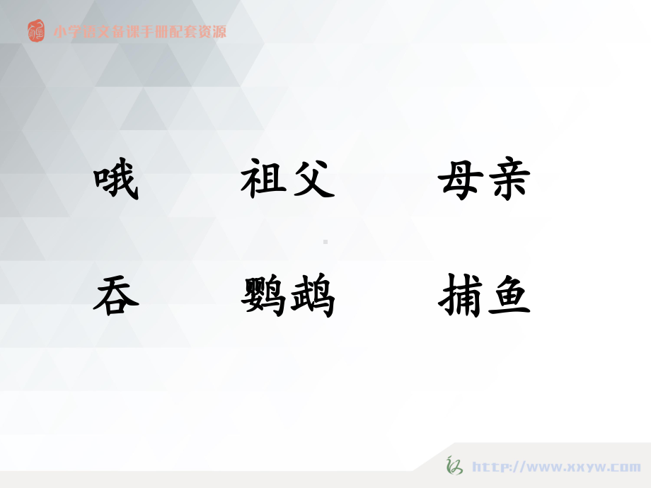 搭船的鸟(分课时版)课件.ppt_第2页