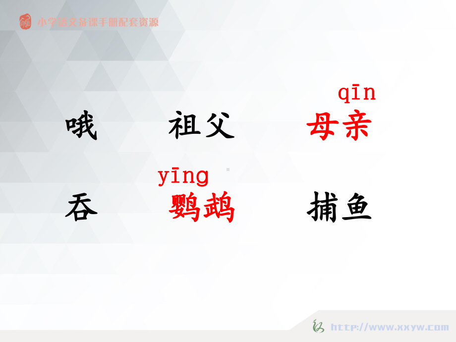 搭船的鸟(分课时版)课件.ppt_第3页