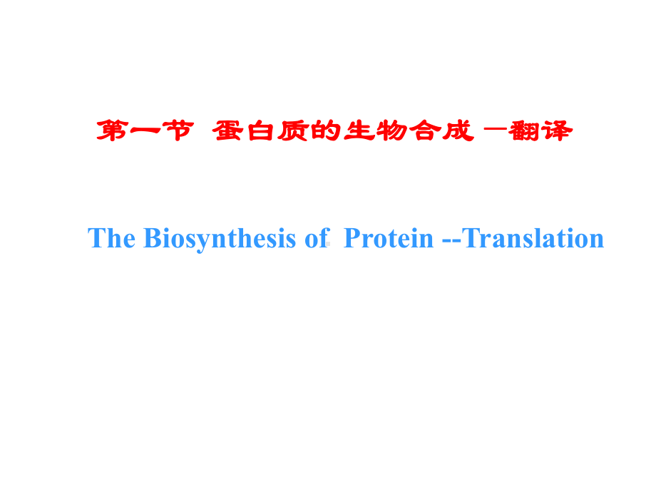 新编第03章蛋白质的合成与修饰课件.ppt_第2页