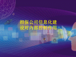 担保公司内部控制信息化建设课件.ppt