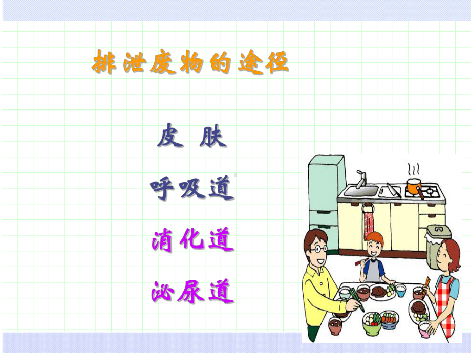 护理学基础第八章排泄的护理课件.ppt_第3页