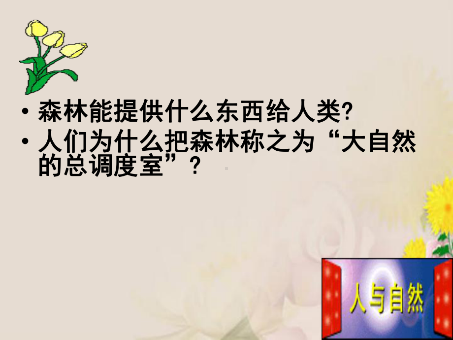 森林的开发和保护-以亚马孙热带雨林为例16人教课标版课件.ppt_第2页