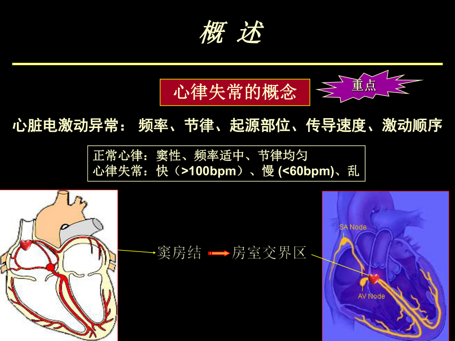 山东省立医院心律失常01课件.ppt_第3页