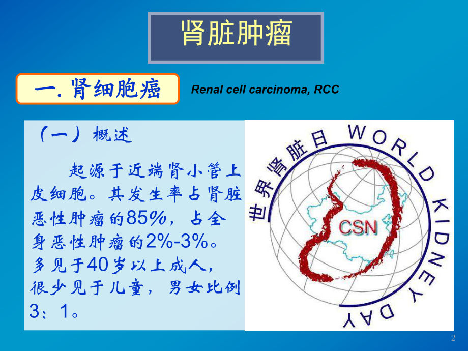 泌尿系统肿瘤影像诊断1课件.ppt_第3页