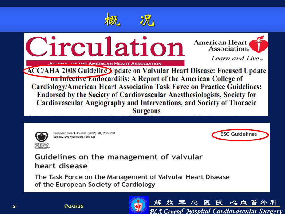 心脏瓣膜病诊疗指南主动脉瓣及三尖瓣部分共59张幻灯片.ppt_第2页