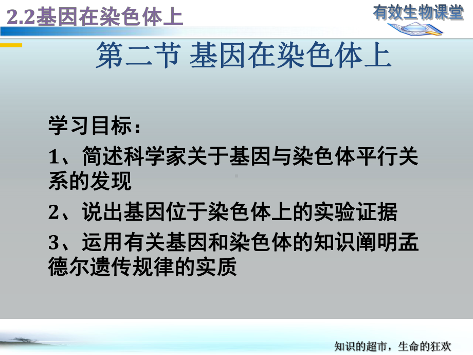 新教材《基因在染色体上》PPT完美课件人教版1.pptx_第2页