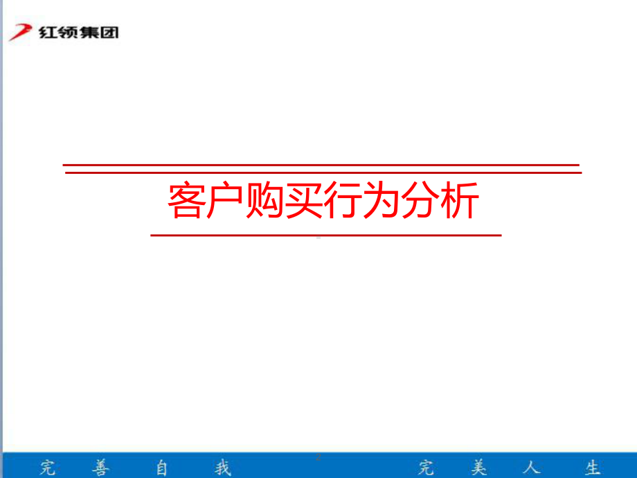 客户购买行为分析课件.pptx_第2页