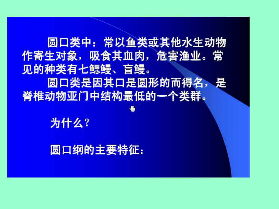 普通动物学第15章圆口纲课件.ppt_第3页