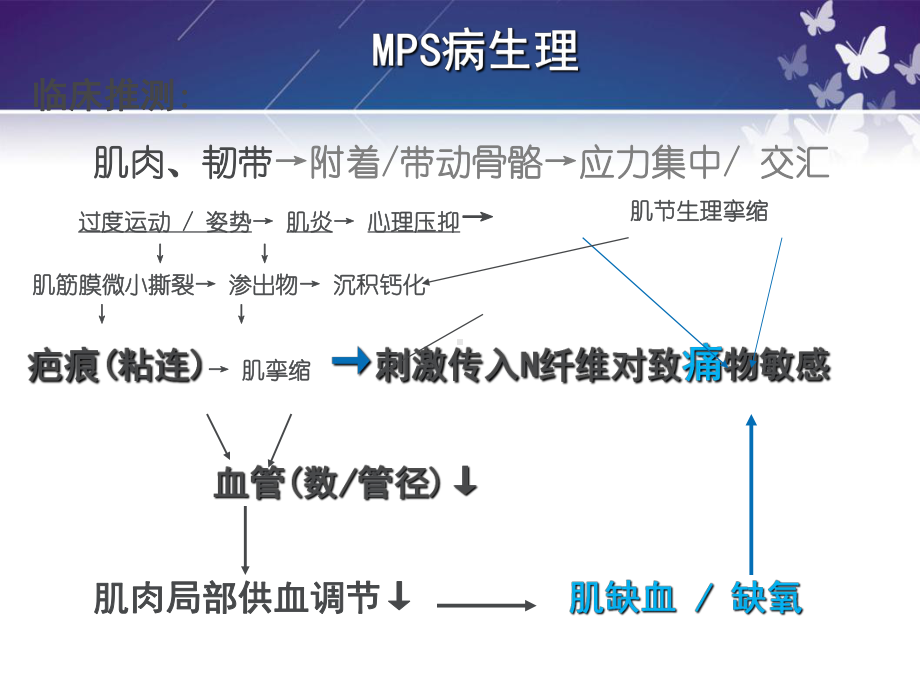 微创治疗肌筋膜疼痛综合症课件.ppt_第3页