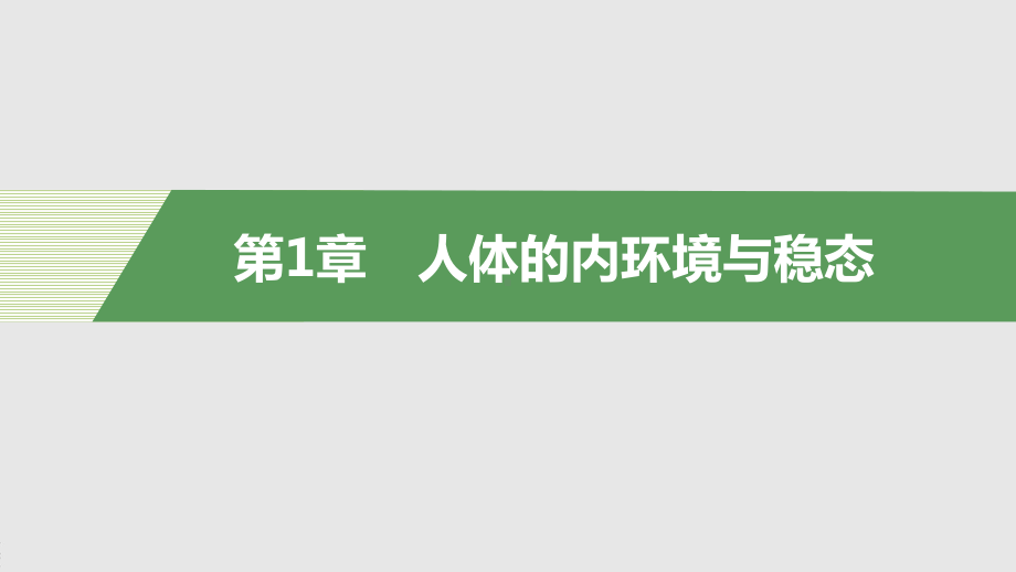 高二上学期生物人教版必修3-模块复习　基础回顾（课件）.pptx_第3页