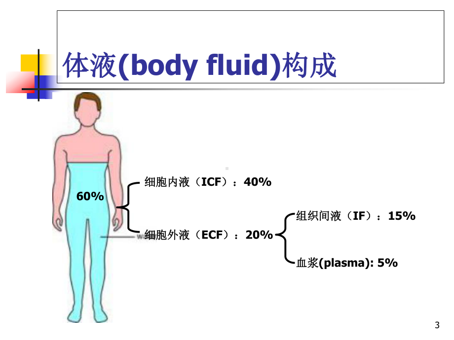 新编水、电解质代谢课件.ppt_第3页