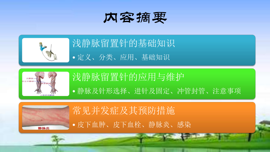 浅静脉留置针的应用与维护-PPT课件.ppt_第2页