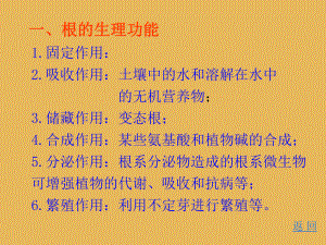 根的结构、发育与生理功能课件.ppt