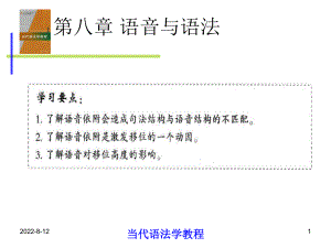 当代语法学教程8第八章语音与语法精选课件.ppt