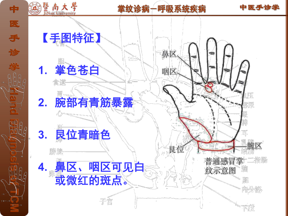 掌纹诊病各论之呼吸系统疾病课件.ppt_第3页