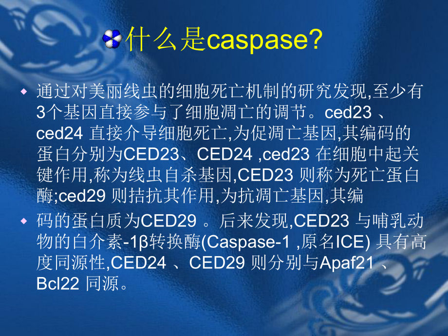 岳原亦Caspase家族与细胞凋亡课件.ppt_第2页