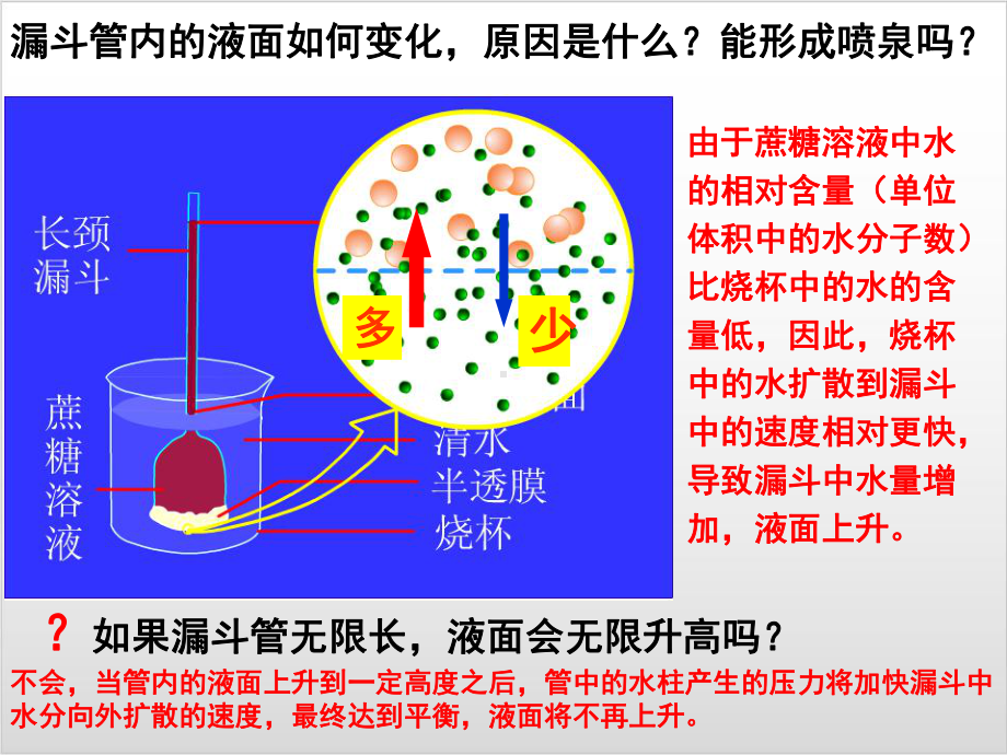 新教材《被动运输》优质课件人教版1.ppt_第3页