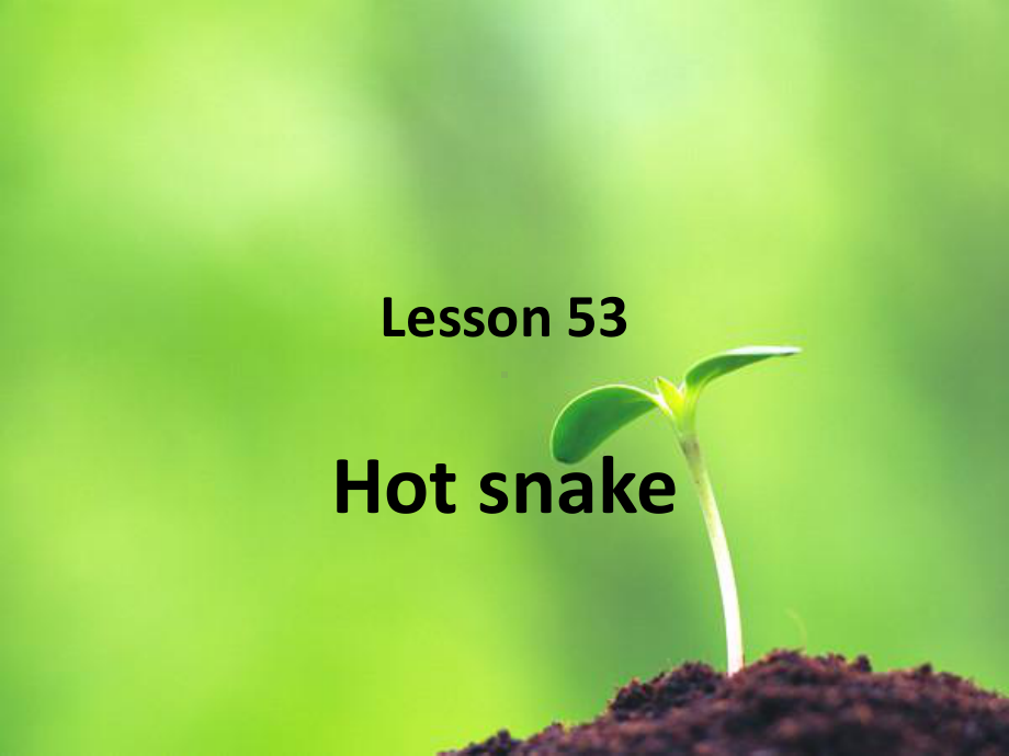 新概念第二册lesson53(共54张)课件.ppt_第1页