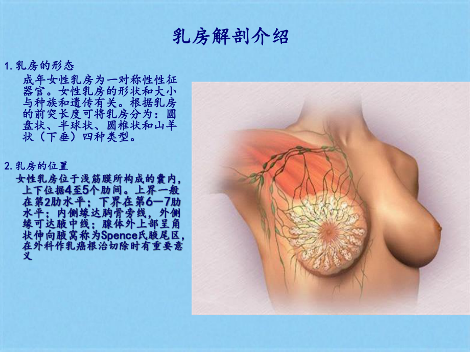 急性乳腺炎护理(共32张)课件.pptx_第3页