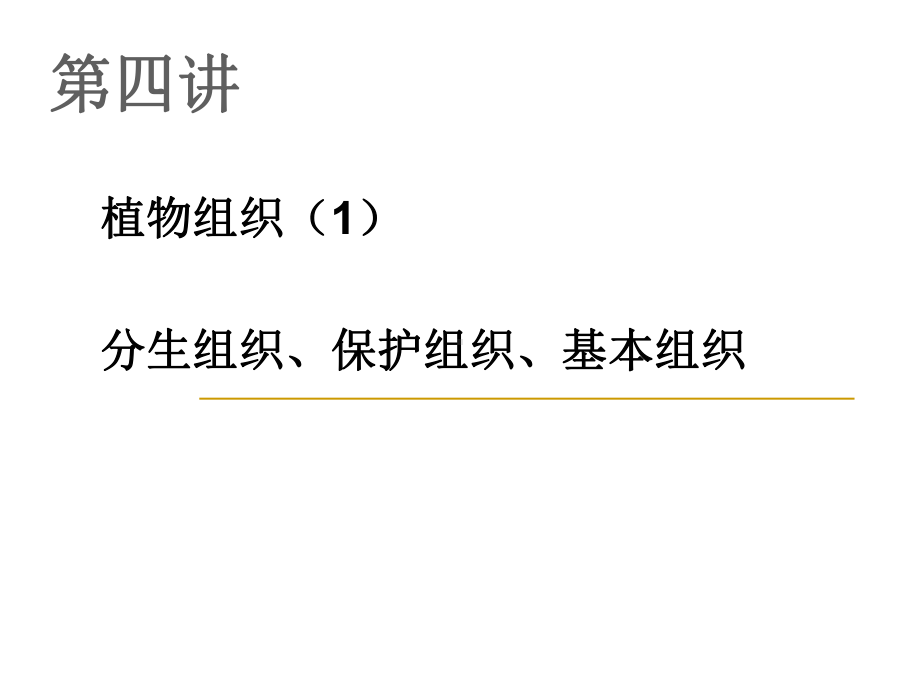新编第五讲植物组织1课件.ppt_第1页