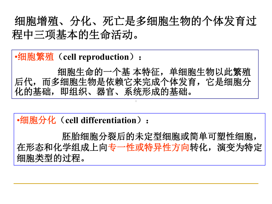 新编第五讲植物组织1课件.ppt_第3页