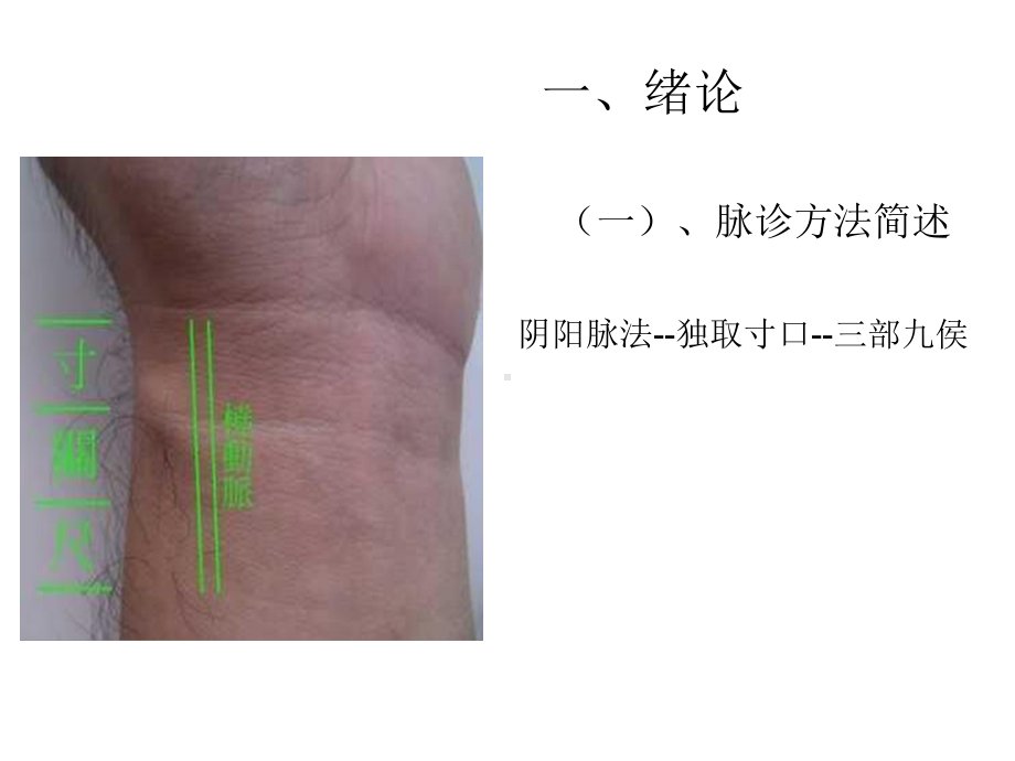 汉传中医伤寒论类编补遗诊法及其它课件.ppt_第2页