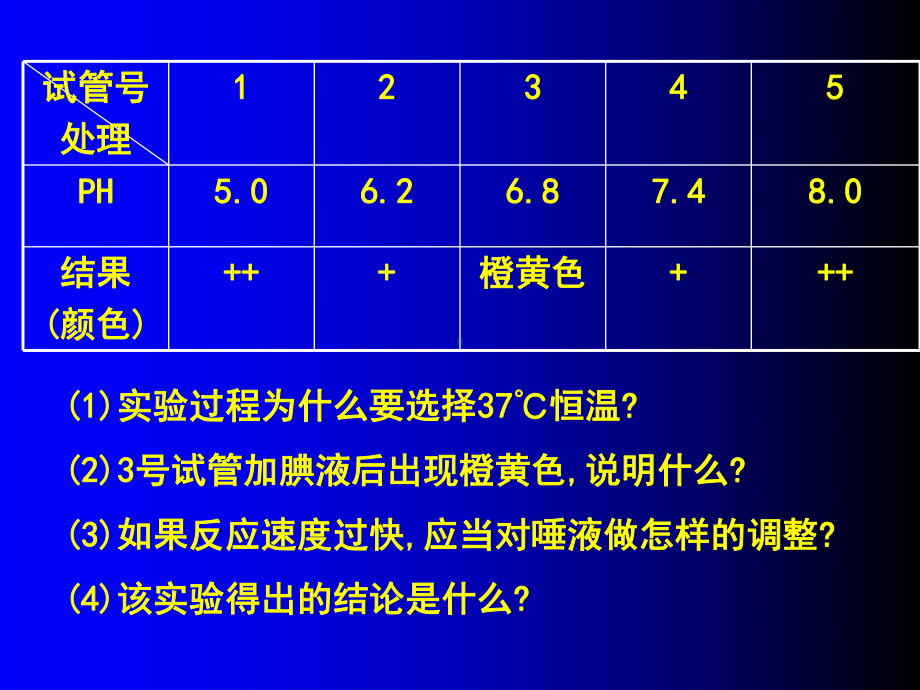 核酸复习课全面版课件.ppt_第3页